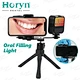 dental fill light